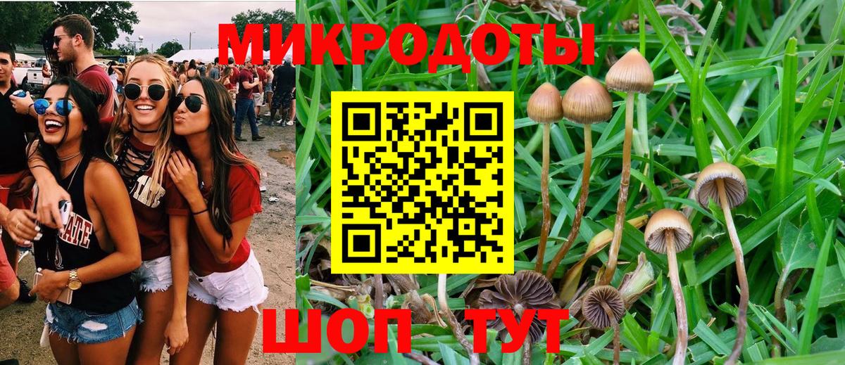 Псилоцибиновые грибы мухоморы Заринск