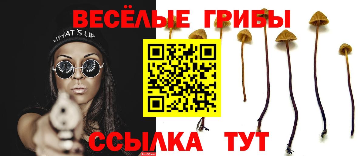 Псилоцибиновые грибы ЛСД  Галлюциногенные грибы мухоморы  Заринск  Вход с VPN 